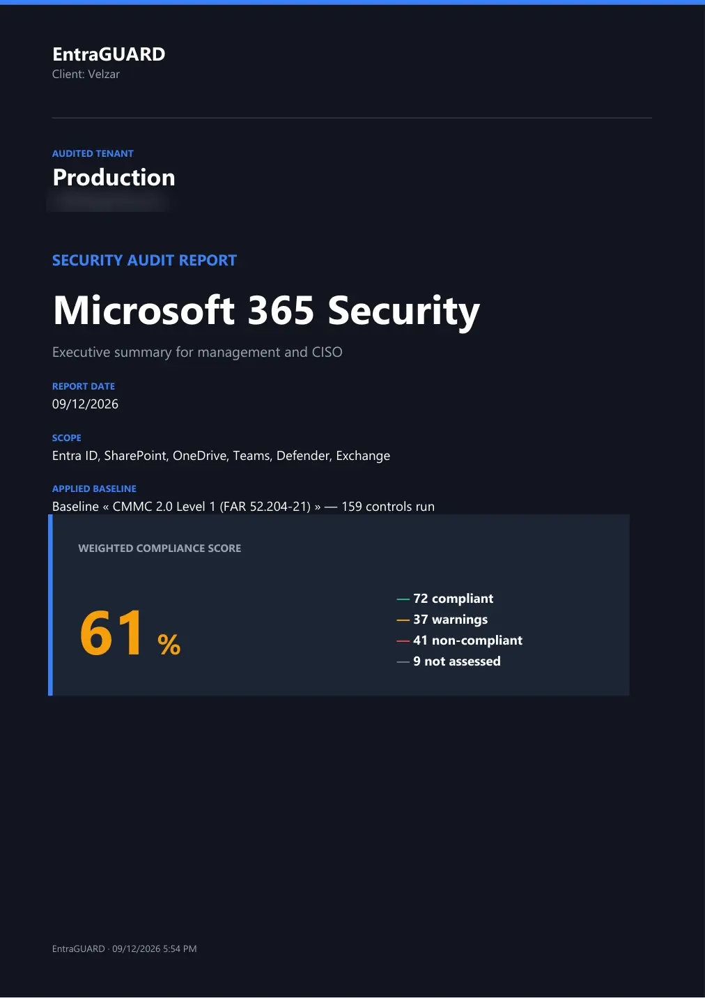 Executive summary report, page 1 of 6